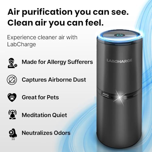 Lab Charge Small Ionic Air Purifier for Home & Bedroom – Silent HEPA Filter – Covers 250 Sq Ft - Free Cleaner for Pets, Hair, Smoke, Dust, Odors & Dander – Compact & Black Design - Image 2