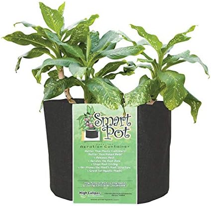 Smart Pots 30-Gallon Smart Pot Soft-Sided Container, Black - Image 2