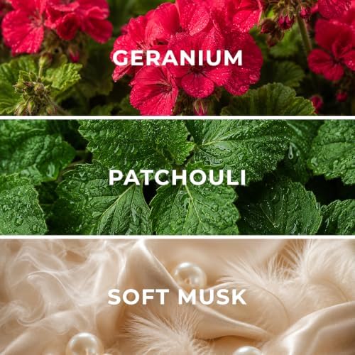 Sandalwood SW08 Hotel Diffuser Oil Refill, 1.69 oz (50 ml) - Image 2
