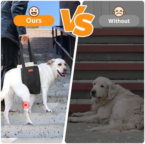 Adjustable Dog Sling for Large Dogs Hind Leg Support Weak Legs Mobility Aid - Image 2
