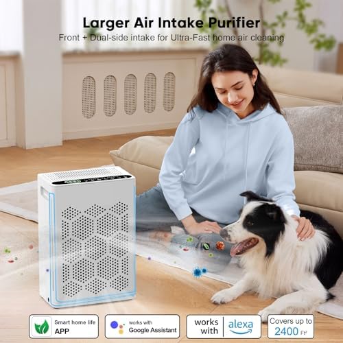 DAYETTE Air Purifiers for Home Large Room Up to 2400 Ft² with Fragrance, Smart WiFi Alexa Control,Auto Mode, HEPA 14 Air Purifier with Washable Prefilter for Bedroom, Dorm Room, Pets, Office - Image 5