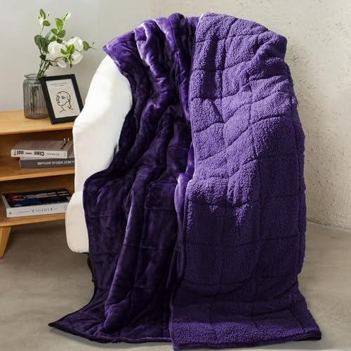 Aemicion Weighted Blanket Queen Size 15lbs,Dual Sided Cozy Fluffy Sherpa Heavy Weighted Blankets for Adults,Ultra Fuzzy Throw Blanket with Soft Plush Flannel Top,60 x 80 inches Purple on Both Sides by Aemicion