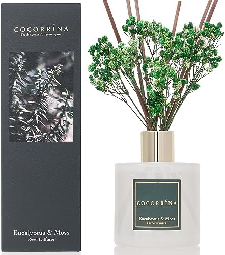 Cocorrína Reed Diffuser Sets- Eucalyptus & Moss Scented Diffuser with Sticks Home Fragrance Reed Diffuser for Bathroom Shelf Decor by COCORR%C3%8DNA