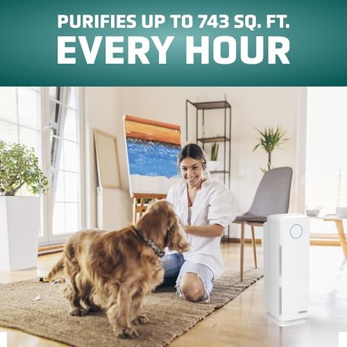 GermGuardian Air Purifier for Homes with Pets, H13 Pet HEPA Filter, Removes Pet Dander, Dust, Allergens, Smoke, Pollen, Odors, Mold, UV-C Light Helps Reduce Germs, 22 Inch, White, AC4300WPT - Image 2