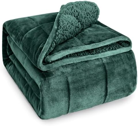 Wemore Sherpa Fleece Weighted Blanket for Adult 20 lbs Queen 60"x80" Green by WemoreDirect