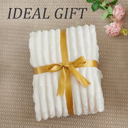 BEDELITE Ribbed Twin Blanket for Couch & Bed, Cream, 60"x80" - Image 6