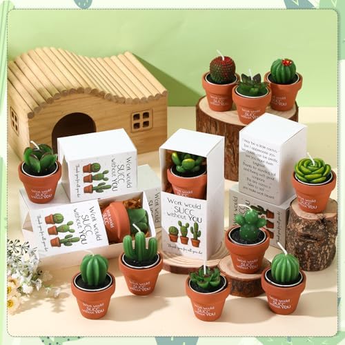Lyrow 24 Sets Employee Appreciation Gift Cactus Tealight Candles Set Mini Handmade Succulent Candle Planter with Matchbox, Office Thanks Gift for End of Year Staff Team Teacher Volunteer - Image 4