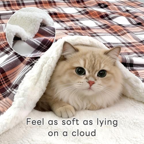 Gracelife Sherpa Fleece Throw Blanket for Couch, Fluffy Plush Warm Fuzzy Blanket for Women and Men, Cozy Thick Soft Twin Blanket for Bed (Orange-2, 60"*80") - Image 3