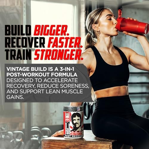 Old School Labs Vintage Build Post-Workout Recovery Powder, Watermelon - Image 3