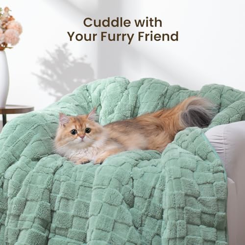 Drewin Adult Weighted Blankets 20lbs, Cozy Fluffy Jacquard Checkered Sherpa Weighted Blankets Queen Size 60 x 80 inches, Soft Winter Heavy Blanket for Couch Bed, Ceramic Beads, Sage Green - Image 6