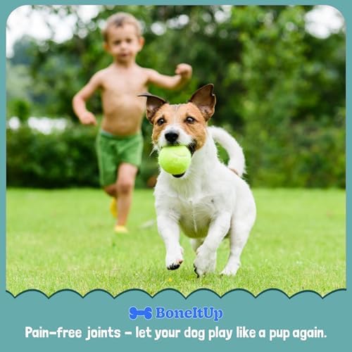 BoneItUp Soft Dog Joint Support Supplement Chews for Aging, Large & Overweight Pets - Glucosamine, Chondroitin, MSM & Omega - Advanced Hip & Joint Supplement for Dogs - Pet Bone Support Treats (90 Ct) - Image 6