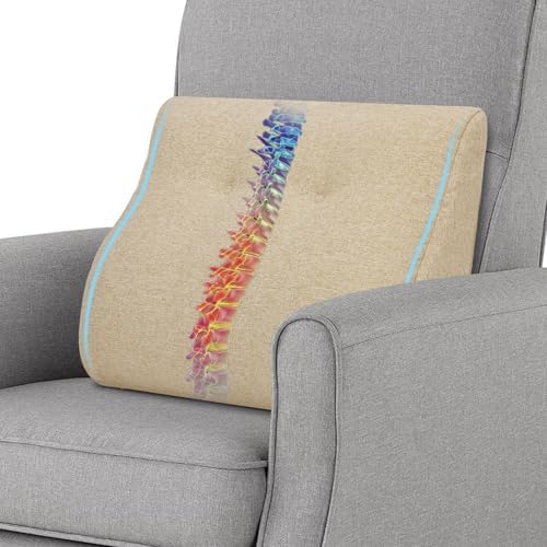 baibu Patented Dual-Layer Memory Foam Lumbar Pillow for Recliner, Beige by baibu