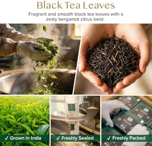 VAHDAM Earl Grey Teabags(30 Count) Individually Wrapped Pyramid Teabags - Image 2