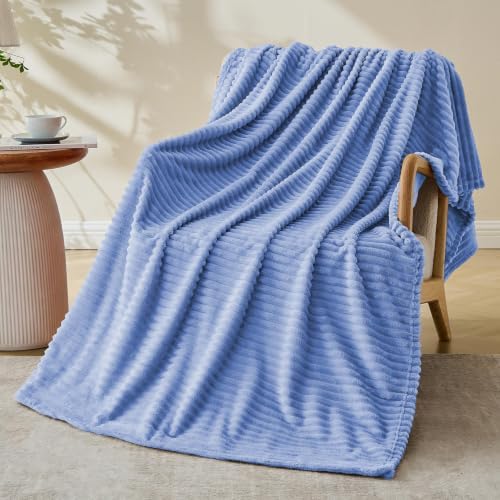 Bnuitland Fleece Throw Blanket for Couch, 300GSM Soft Warm Cozy Fluffy Throw for Adults & Kids, Stripe Pattern, All Season Sofa Bed Blanket for Home Decor, Sky Blue 50"x60" by BNUITLAND