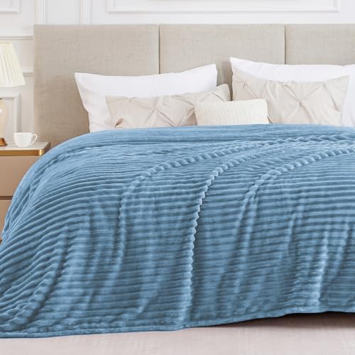 BEDELITE Ribbe Blankets Queen Size for Bed, Blue, 90"x90" by BEDELITE