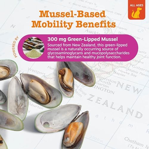 Zesty Paws Mussel Mobility Bites for Dogs - New Zealand Green Lipped Mussel with Natural Glucosamine & Chondroitin + Omega-3 Fatty Acids - Hip & Joint Support Supplement Soft Chews – 90 Count - Image 4