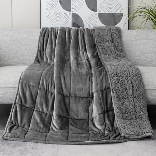 Lofus 20 lbs Weighted Blanket for Adults Queen Size 60" x 80", Grey by Lofus