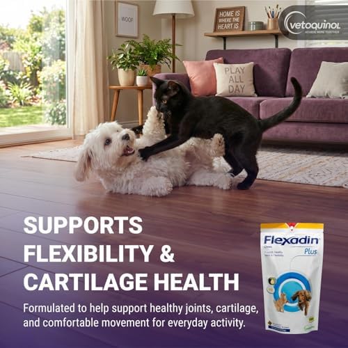 Vetoquinol Flexadin Plus - Hip & Joint Support for Cats & Small Dogs - Flexibility & Cartilage Support - Aids with Pet Mobility - Green-Lipped Mussel & Vitamin E - for Pets Up to 30 lbs - 90 Chews - Image 3