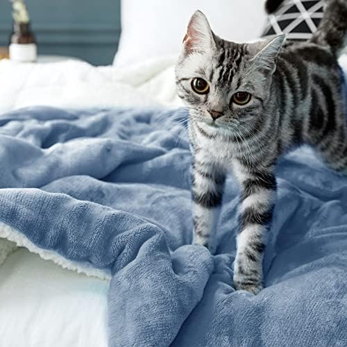LBRO2M Sherpa Fleece Bed Blanket Twin Size,Super Soft Fuzzy Plush Warm Cozy Fluffy Microfiber Couch Throw Velvet Double Reversible Luxurious Blankets (Light Blue,Twin(65x90 Inches)) - Image 6