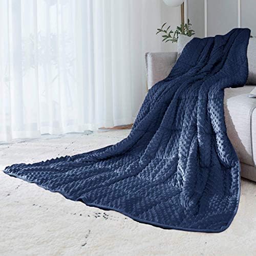 ALANSMA Reversible Weighted Blanket for All Season, Luxury Velvet, Warm and Cool, Adult 5Lb Blue Weighted Blanket, Enjoy Sleeping Anywhere(Blue,36"x48" 5lbs) by ALANSMA