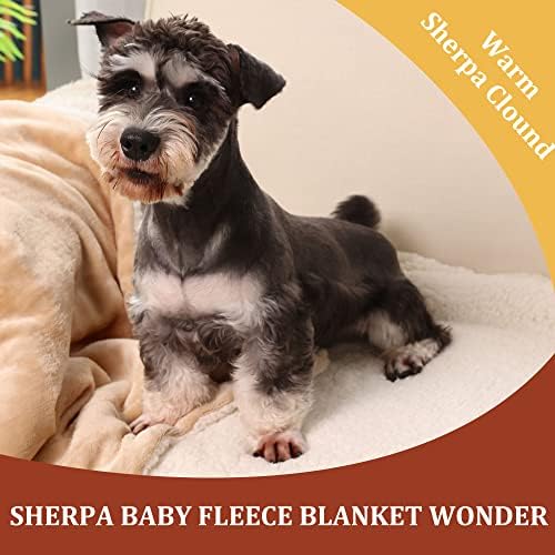 NANPIPER Baby Sherpa Blanket,Warm Toddler Throw Blanket,Soft Newborn Fleece Blanket for Winter (Beige,30x40 inches) - Image 6