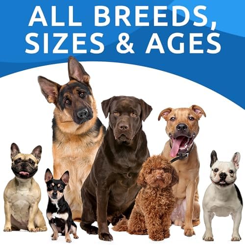 Advanced Joint Hemp Chews for Dogs Mobility - Hip&Joint Pain Relief Treats - Image 5