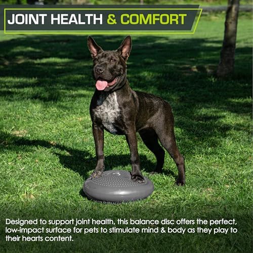 ProsourceFit Core Balance Disc, Inflatable Wobble Cushion with Hand Pump, Dual-Textured Non-Slip Surface for Core, Balance, and Stability Training, 14-inch - Image 6