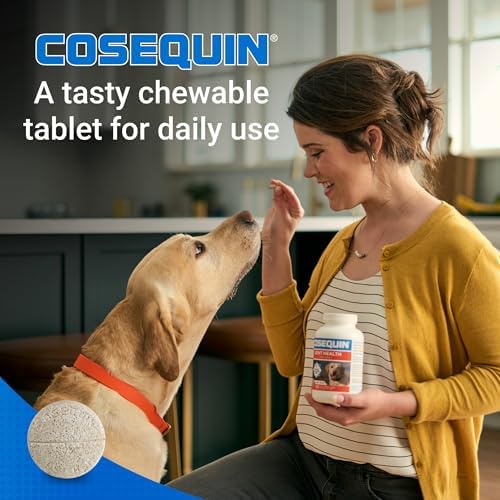 Nutramax Cosequin Joint Supplement for Dogs, MSM+HA, Chew Tablets, 250ct - Image 4