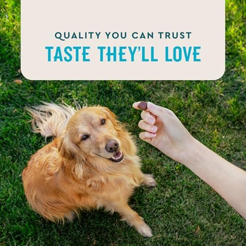 VetIQ Max Strength Hip & Joint Chews for Dogs, 90ct - Image 5