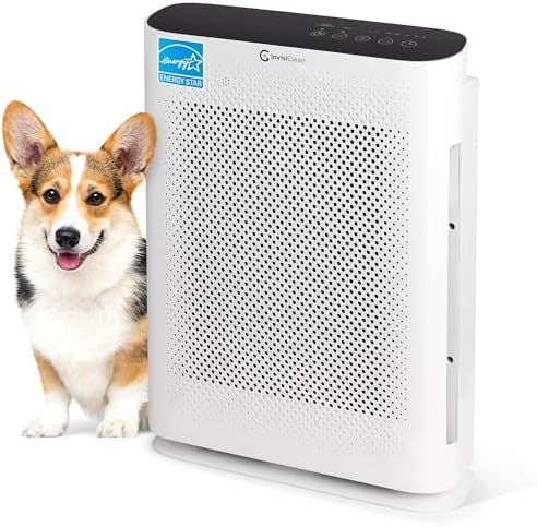 Air Purifier for Home Allergies & Pets | 4-in-1 H13 True HEPA Filter/Ionizer/Carbon + UV Light | Portable Air Purifiers for Large Room & Bedroom Odor Elimination - InvisiClean Aura II by InvisiClean