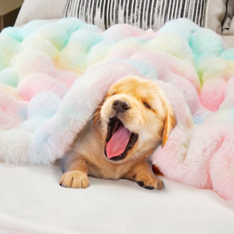 DREAMNINE Soft Faux Bubble Rabbit Fur Blanket Twin Size, Thick Cozy Decorative Colorful Warm Fuzzy Fur Blanket for Bed Couch Sofa Chair Bedroom Living Room Dorm Gift, 60 * 70 Inches, Rainbow - Image 6
