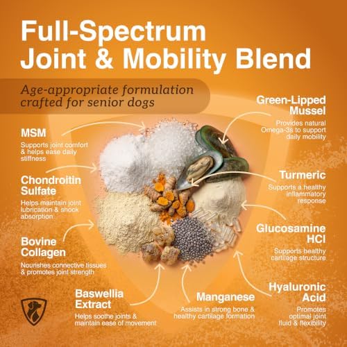 NutraRegen Select Forte Dog Joint Supplement for Senior Dogs – Glucosamine, Chondroitin, MSM, Collagen & Green-Lipped Mussel – Hip & Joint Mobility, Flexibility & Comfort – 45 Scoops - Image 3