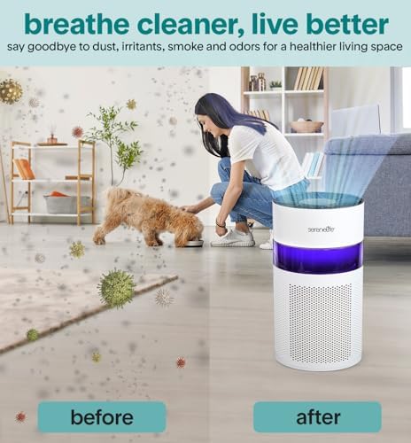 SereneLife Portable Air Purifier | Small Air Purifier For Home, Allergies, Pet Hair & Bedrooms | Filter Change Reminder & Aroma Box | Filtration Removes Dust, & Smoke Odor | Timer & Sleep Mode | White - Image 5