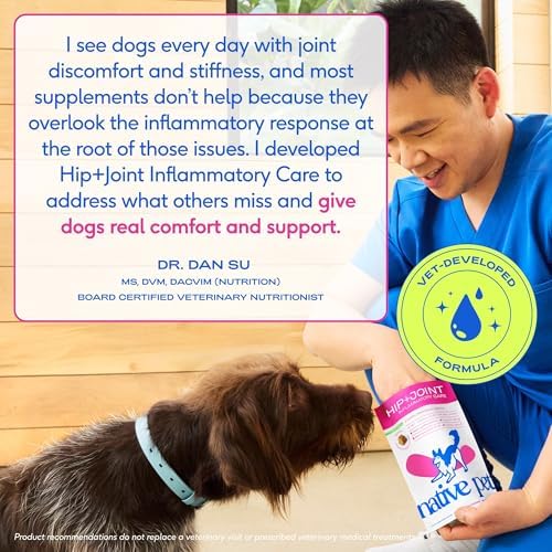 Native Pet Inflammatory Care - Pain Relief for Dogs - Green-Lipped Mussel, Turmeric & Collagen for Dogs - Hip and Joint Supplement Supports Healthy Inflammatory Response & Joint Comfort - 120 Chews - Image 6