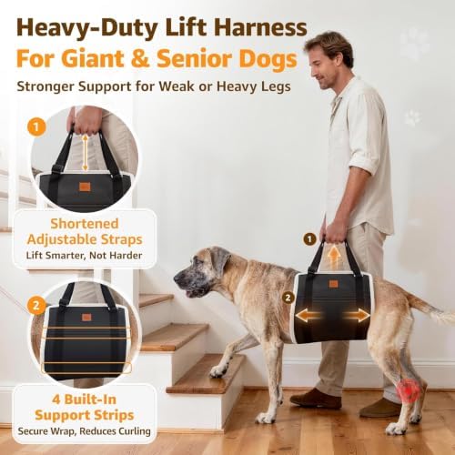 Adjustable Heavy Duty Dog Lift Harness for Giant Dogs Hind Leg Support - Image 2