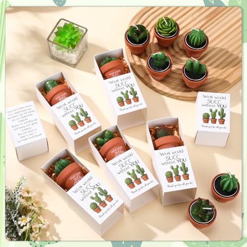 Lyrow 12 Sets Employee Appreciation Gift Cactus Tealight Candles Set Mini Handmade Succulent Candle Planter with Matchbox, Office Thanks Gift for End of Year Staff Team Teacher Volunteer - Image 5