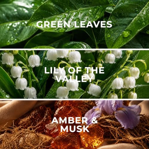 Paris 24K PK12 Hotel Diffuser Oil Refill, 2 x 10.14 oz (300ml) - Image 2
