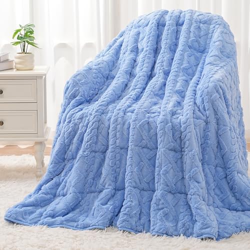 Wemore Soft Weighted Blanket for Adults 20 lbs Queen Size 60" x 80" Blue by WemoreDirect