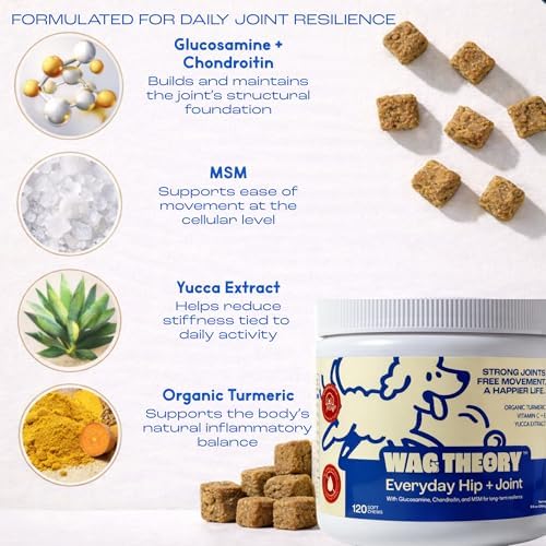 Hip & Joint Supplement for Dogs – Glucosamine Chondroitin MSM – Dog Joint Supplement & Mobility Support Chews with Turmeric & Yucca – Arthritis Support – 120 Soft Chews - Image 3