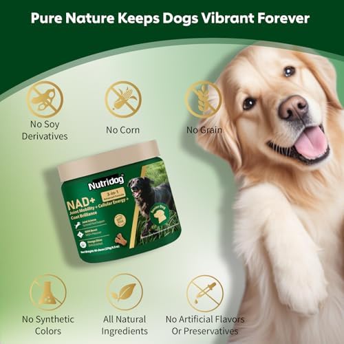 NMN Supplement for Dogs NAD+ Booster - Anti-Aging & Longevity - Image 7