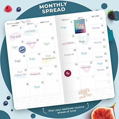Clever Fox Wellness Planner & Food Journal Small Aquamarine - Image 5