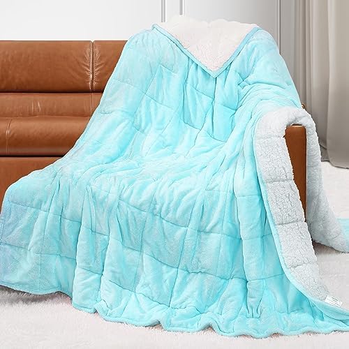 Alomidds Sherpa Fleece Weighted Blanket for Adults(15lbs Twin Size) Heavy Blanket with Fluffy Warm Thick Sherpa & Cozy Soft Flannel Snuggle Great for Sofa Bed Calming, 48x72 inches,Aqua by Alomidds