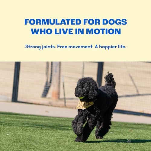 Hip & Joint Supplement for Dogs – Glucosamine Chondroitin MSM – Dog Joint Supplement & Mobility Support Chews with Turmeric & Yucca – Arthritis Support – 120 Soft Chews - Image 4