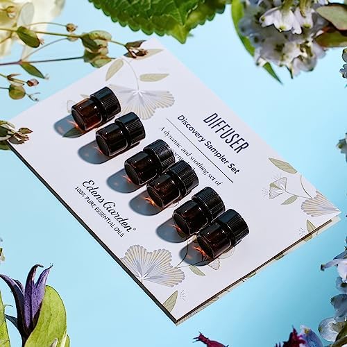 Edens Garden Essential Oils Diffuser Discovery 6 Set – 100% Pure Therapeutic Grade, Undiluted, Natural Aromatherapy Oil for Home Diffusers & Humidifiers – Holistic Gift for Men & Women, .92 ml/6 Pack - Image 2