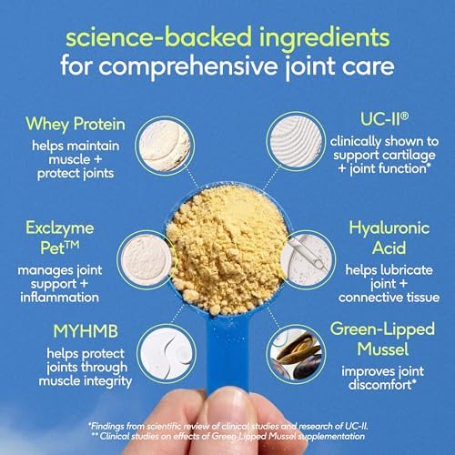 Native Pet Hip and Joint Supplement Dogs - Powder with UC-II Collagen and HMB - Senior and Large Breed Dog Joint Support - Made in USA - 60 Scoops - Image 3