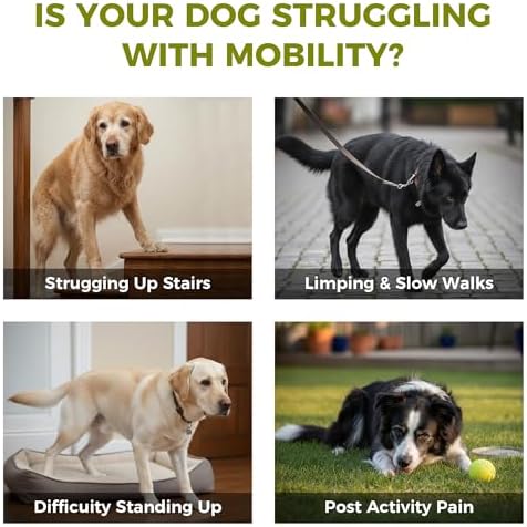 Hip & Joint Chews for Senior Dogs – Advanced Mobility Formula - Image 2
