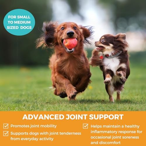 Progility Mini Hip & Joint Glucosamine Supplement, Small to Medium Dogs - Image 2