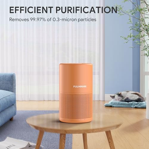 FULMINARE Air Purifiers for Home Bedroom H13 HEPA Air Purifier - Image 3
