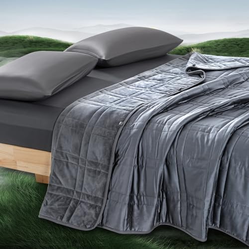 OMYSTYLE King Size Weighted Blanket 20lbs(88''x104'', Double-Sided), Reversible Weighted Blanket with Warm Short Plush and Cool Tencel Fabric for All Season Use - Carry Bag Included by OMYSTYLE