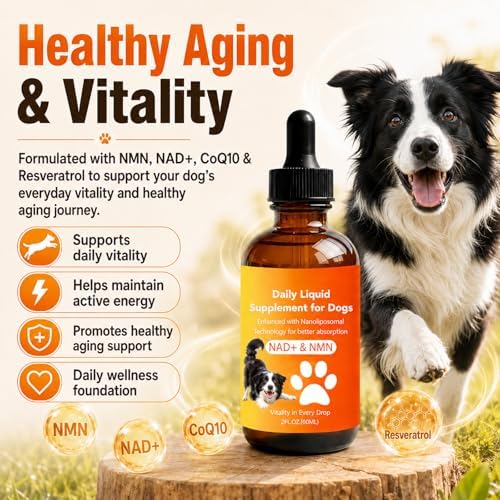 Dog Longevity Supplement with NMN, NAD+, CoQ10 & Resveratrol - Image 4